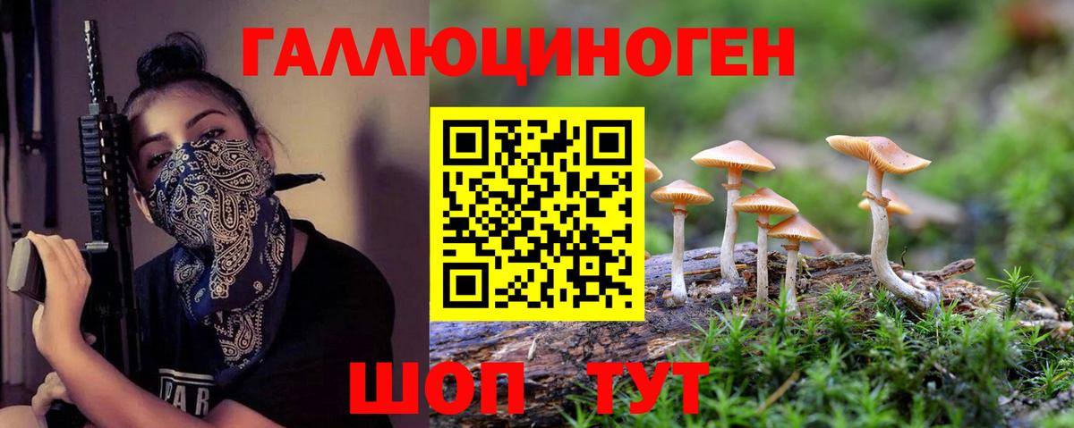 Галлюциногенные грибы Psilocybe  Галлюциногенные грибы Cubensis  Вход с VPN  Елизово 
