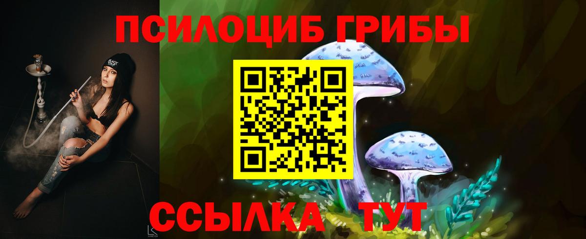 Галлюциногенные грибы мухоморы Елизово